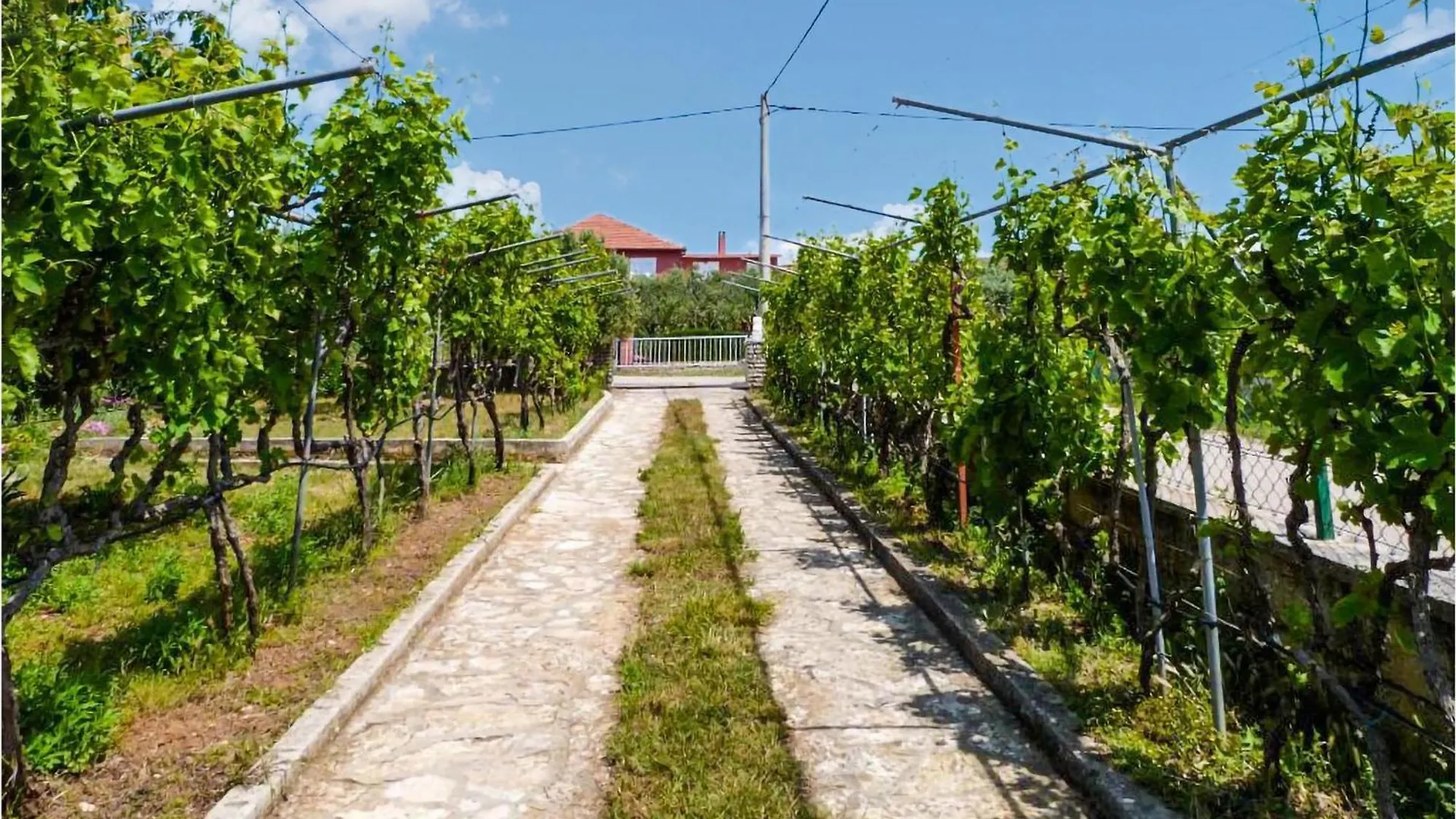 3 Bedroom Beautiful Home In Debeljak Croatia