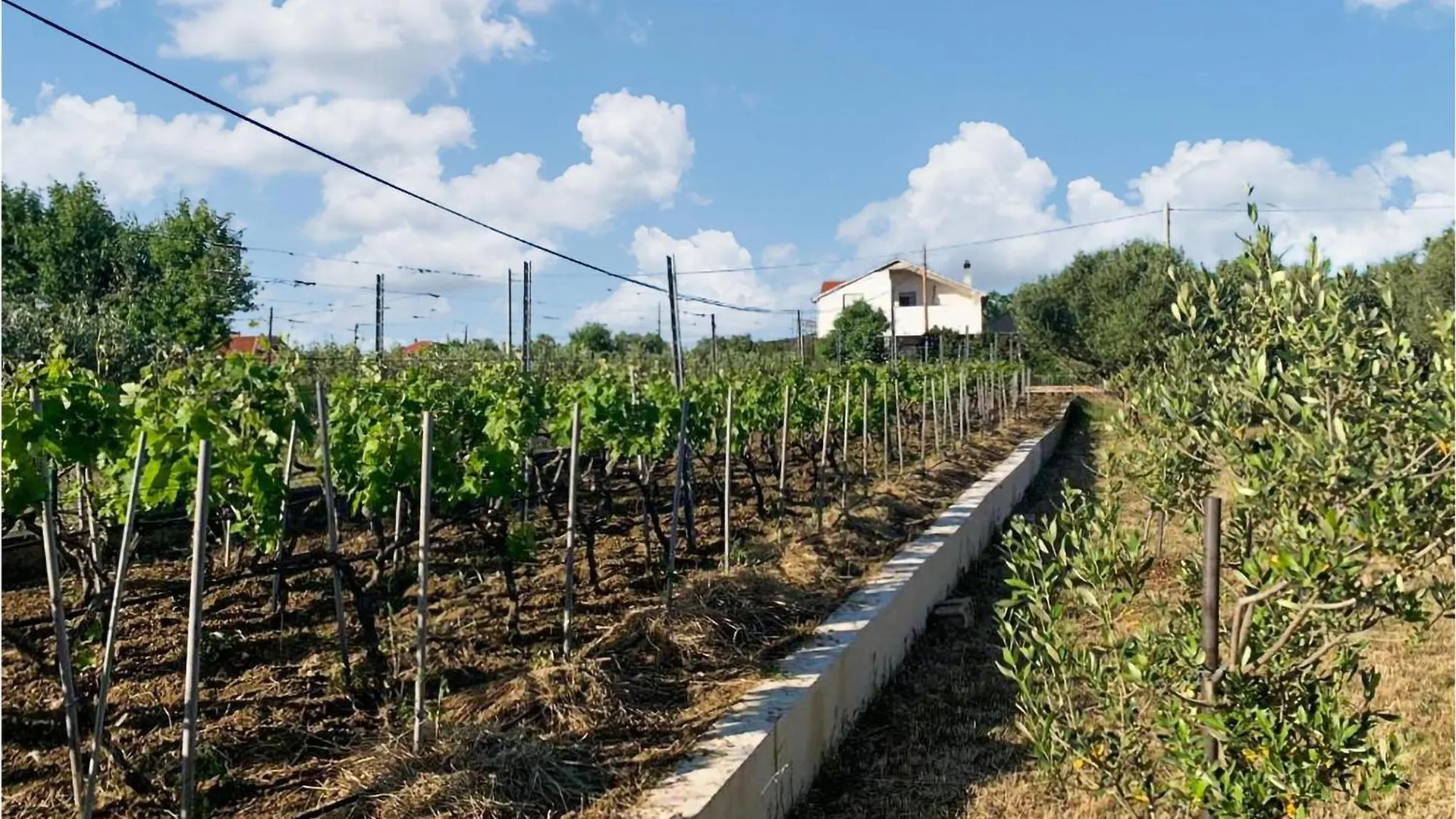 3 Bedroom Beautiful Home In Debeljak 0*,  Croatia